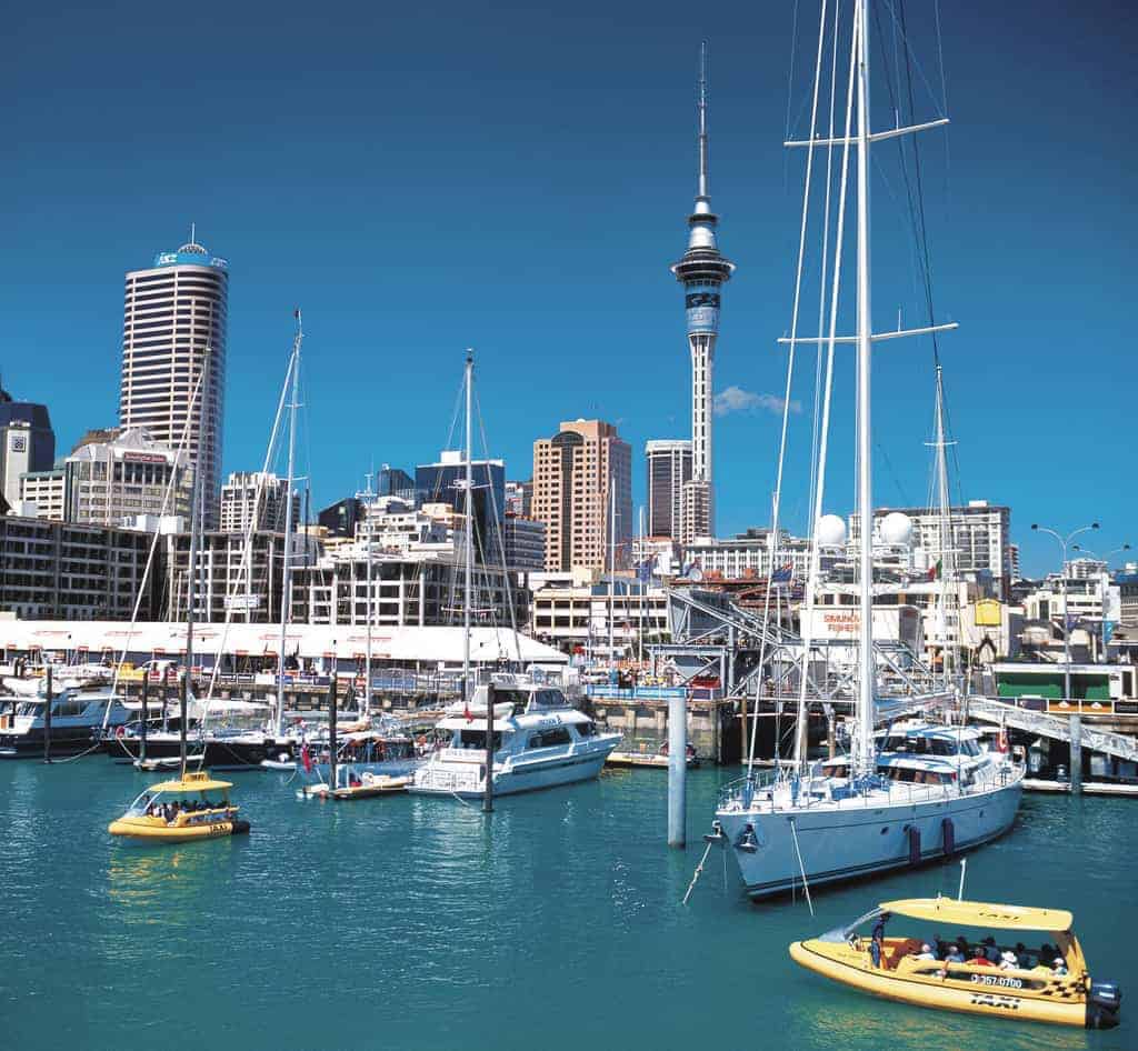 Auckland – city and nature tour
