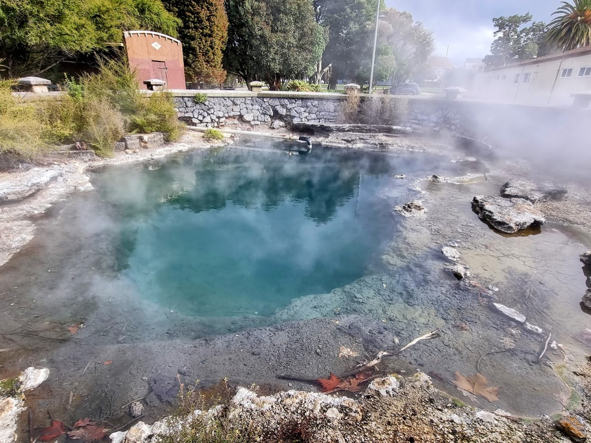 Tauranga – Rotorua Highlights Tour with Tree Top Walk