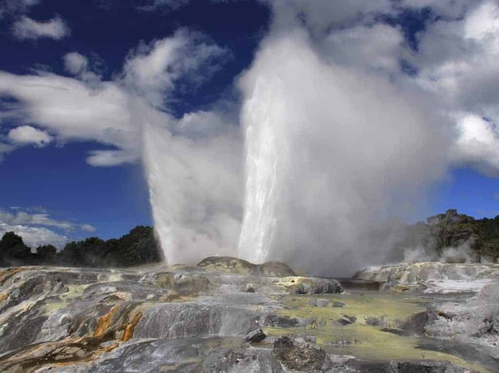 Tauranga – Rotorua Day Tour including Te Puia