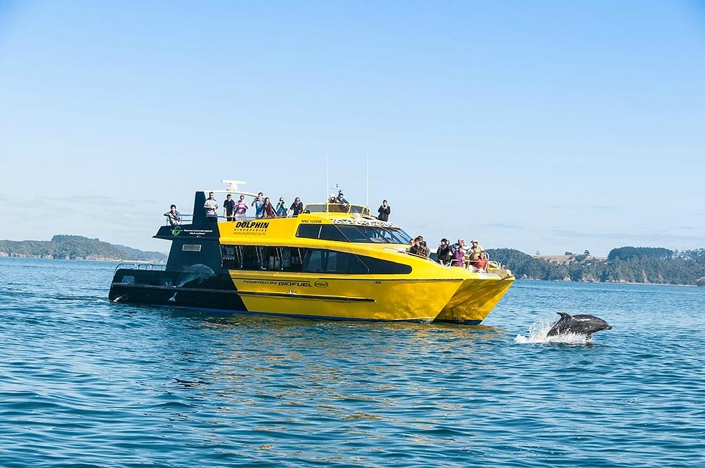 Bay of Islands – Hole in the Rock and Dolphin Cruise with Lunch