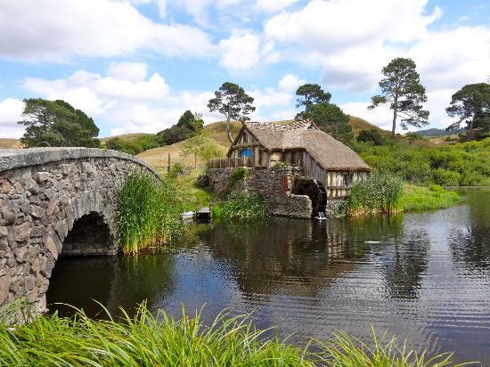 Tauranga – Hobbiton Day Tour