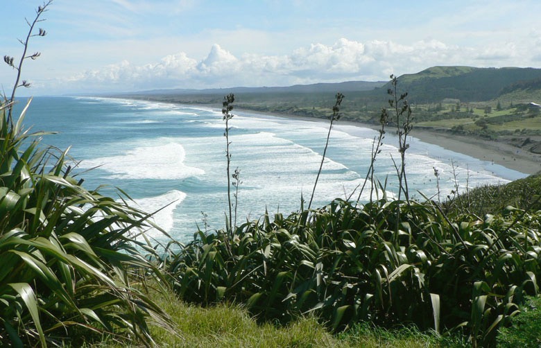 Auckland – West Coast Wine Tour