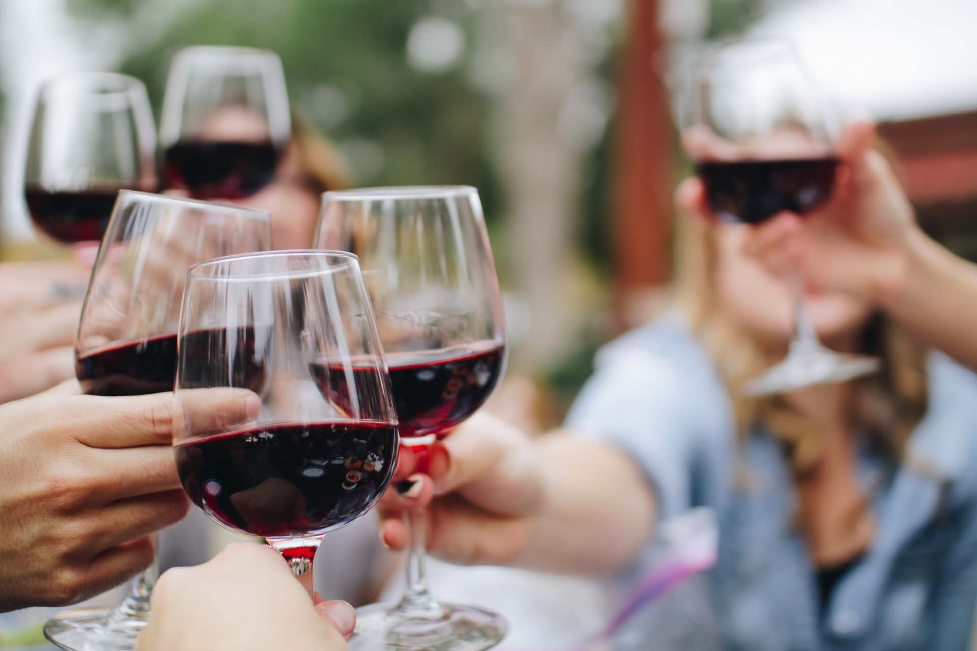 Auckland – West Coast Wine Tour