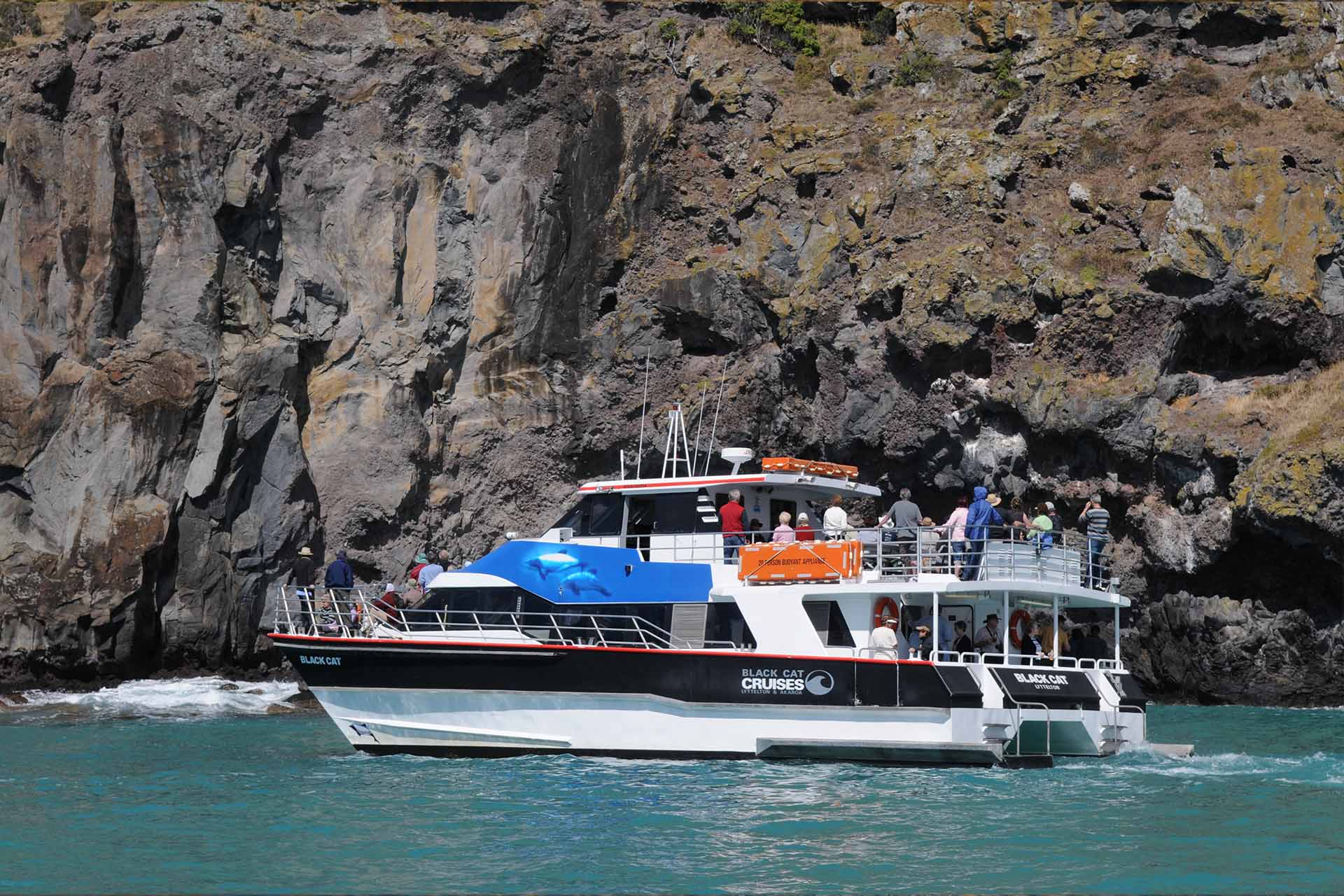 Akaroa – Harbour Nature Cruise