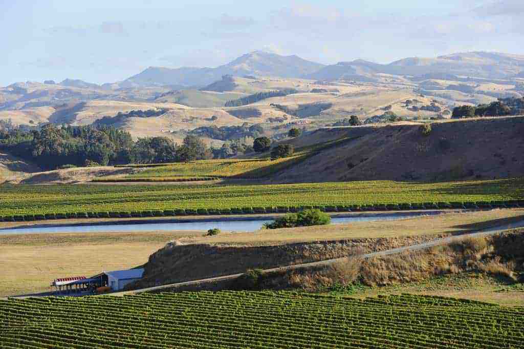 Wellington / Martinborough – Small Group Wine Tour