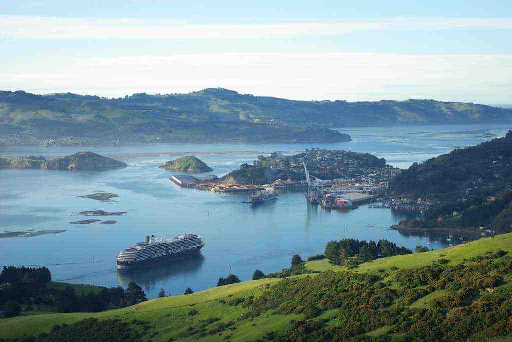 Dunedin – City Sightseeing Excursion