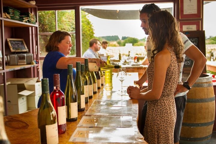 Wellington / Martinborough – Small Group Wine Tour