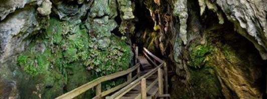 Bay of Islands – Sightseeing Tour with Kawiti Glow Worm Caves