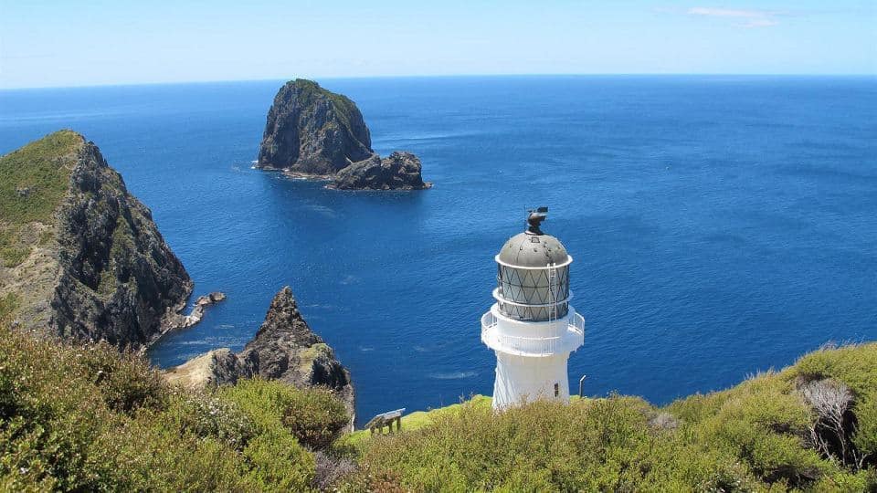 Bay of Islands – Hole in the Rock and Dolphin Cruise with Lunch
