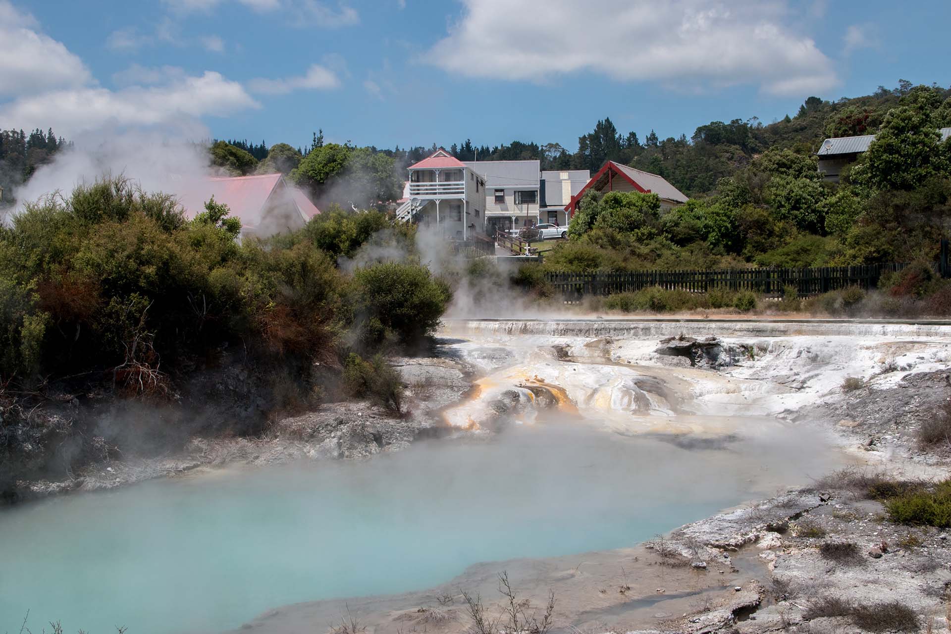 Tauranga – Rotorua and Whakarewarewa Geothermal Valley & Maori Village