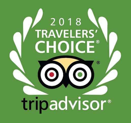 Auckland Explorer Bus – Hop on Hop Off Day Pass