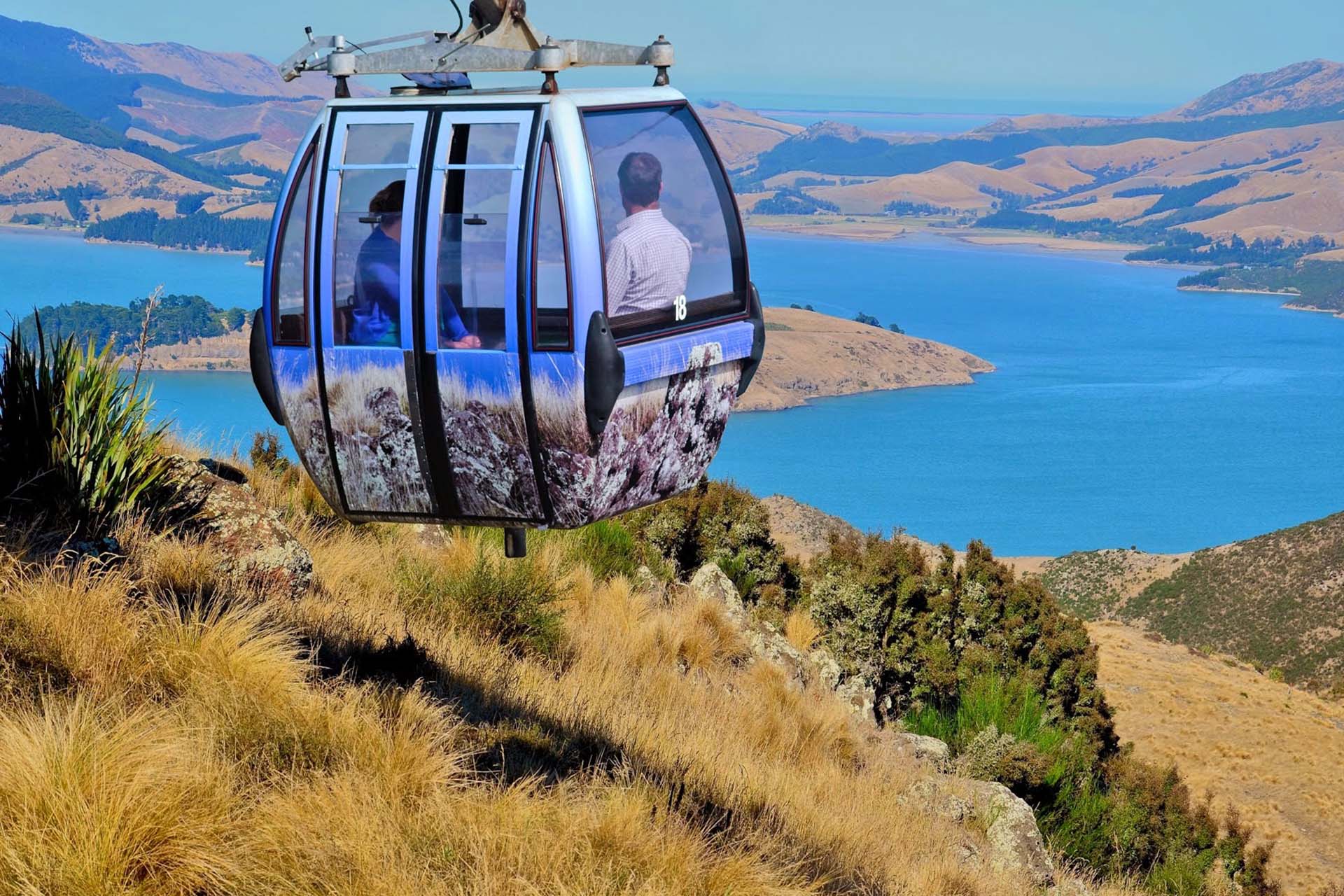 Christchurch – Highlights Tour With The City’s Best Attractions