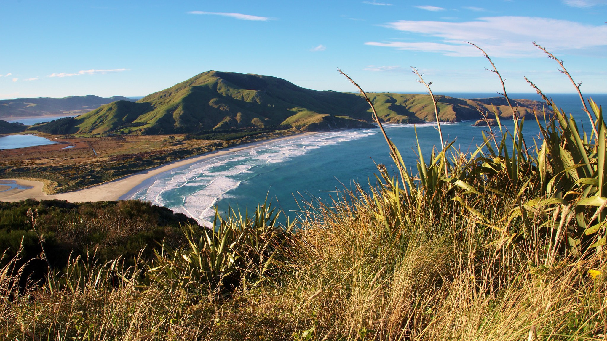Dunedin – Otago Peninsula Wildlife Cruise and Larnach Castle