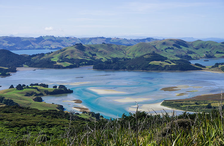 Dunedin – Sightseeing, with a guided tour of Larnach Castle