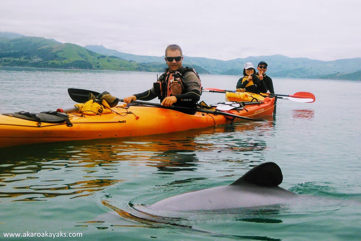 Christchurch – Twin Harbours – Lyttelton & Akaroa with Kayaking