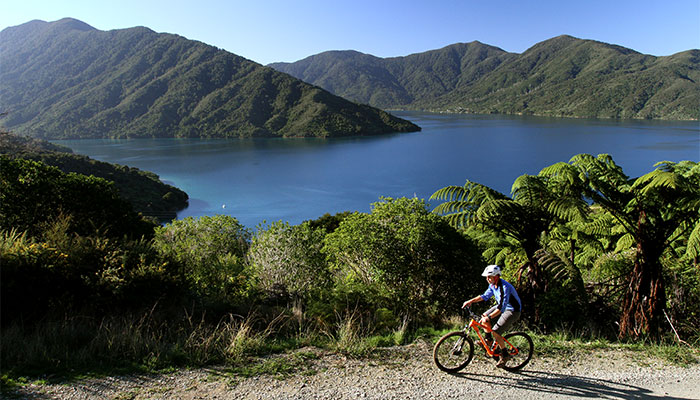 Marlborough – E-Bike Rental – 4 hours