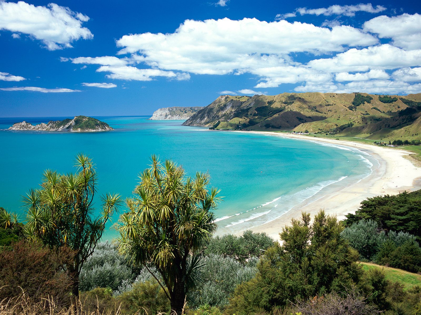 Gisborne – Small Group Sightseeing and Wine Tour with Lunch