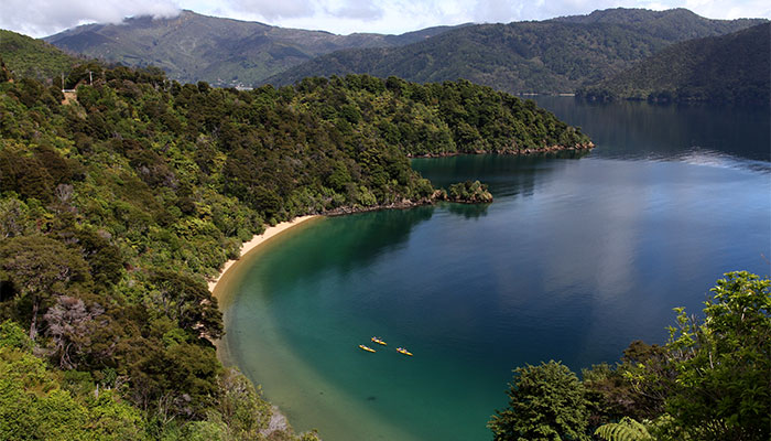 Marlborough – Half Day Kayaking