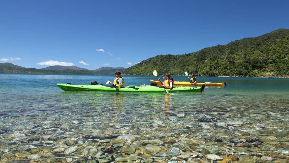Marlborough – Half Day Kayaking