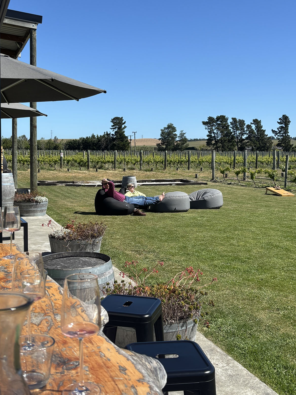 Christchurch – Waipara Wine, City and Sheep Farm