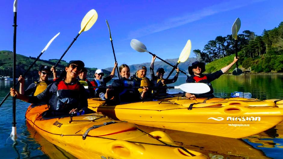 Akaroa Day Tour with Sea Kayaking
