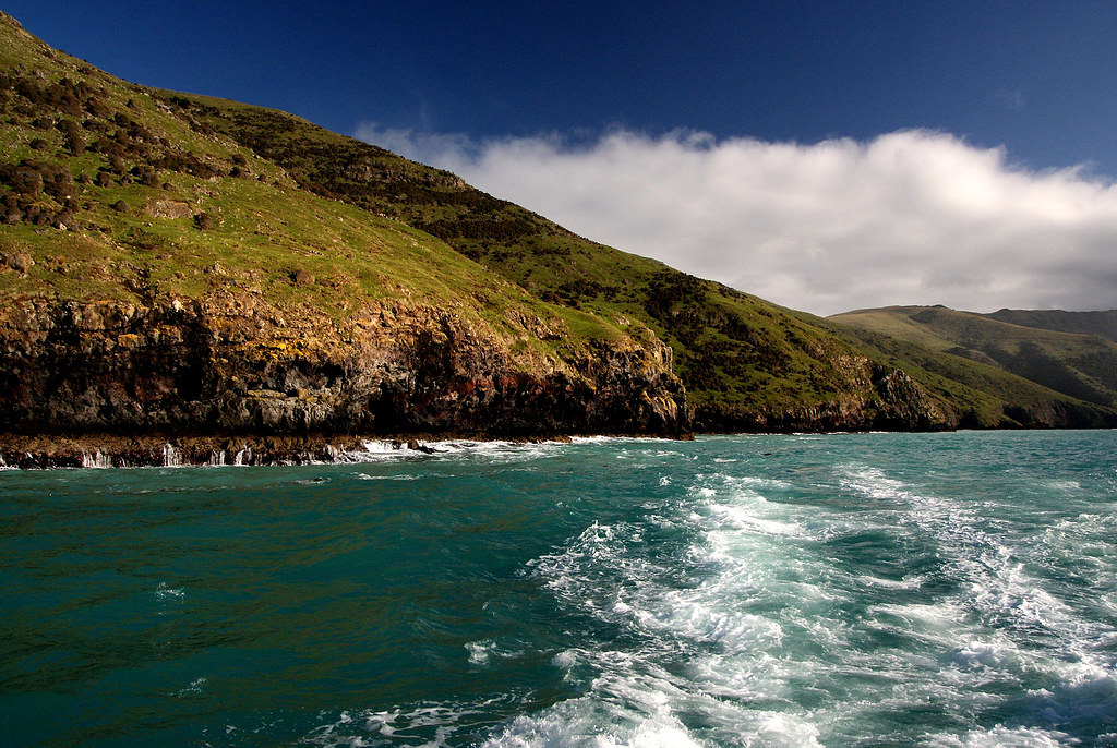 Akaroa Day Tour with Sea Kayaking