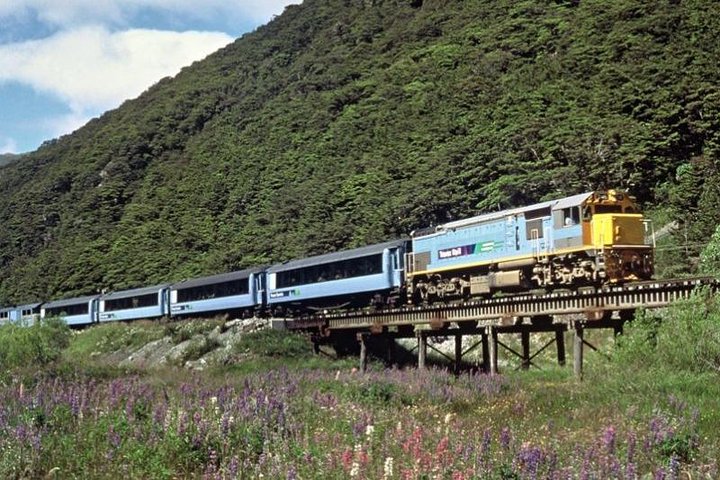 Arthur’s Pass National Park Day Tour with TranzAlpine Train