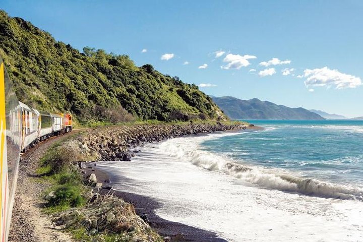 Kaikōura Day Tour with Whale Watching & Lunch