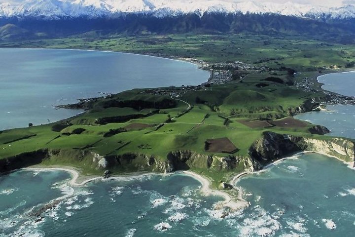 Kaikōura Day Tour with EcoZip Adventure