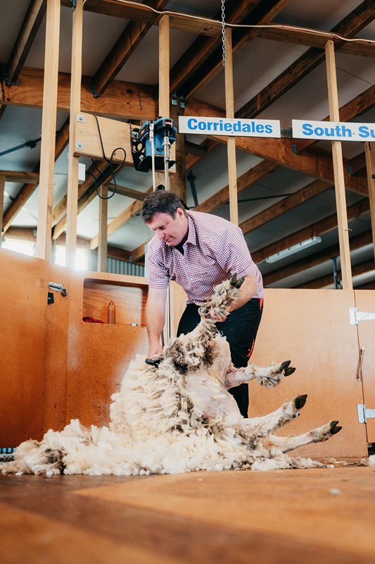 City, Wine & Glenafric Sheep Farm Tour