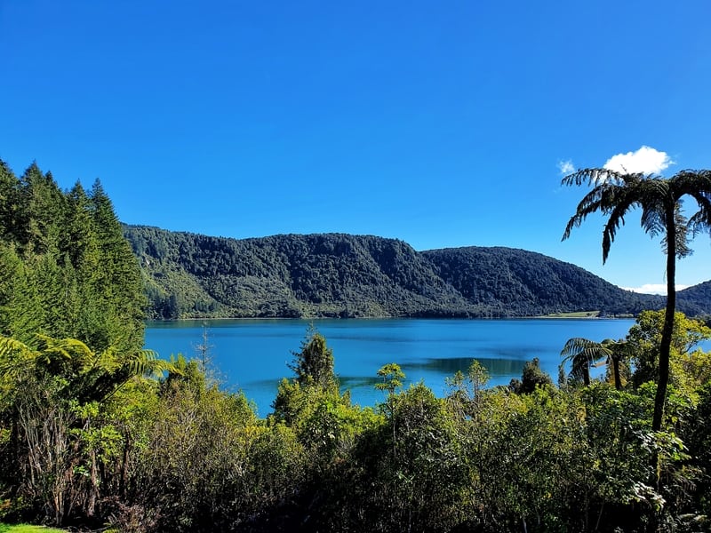 Wellington to Auckland