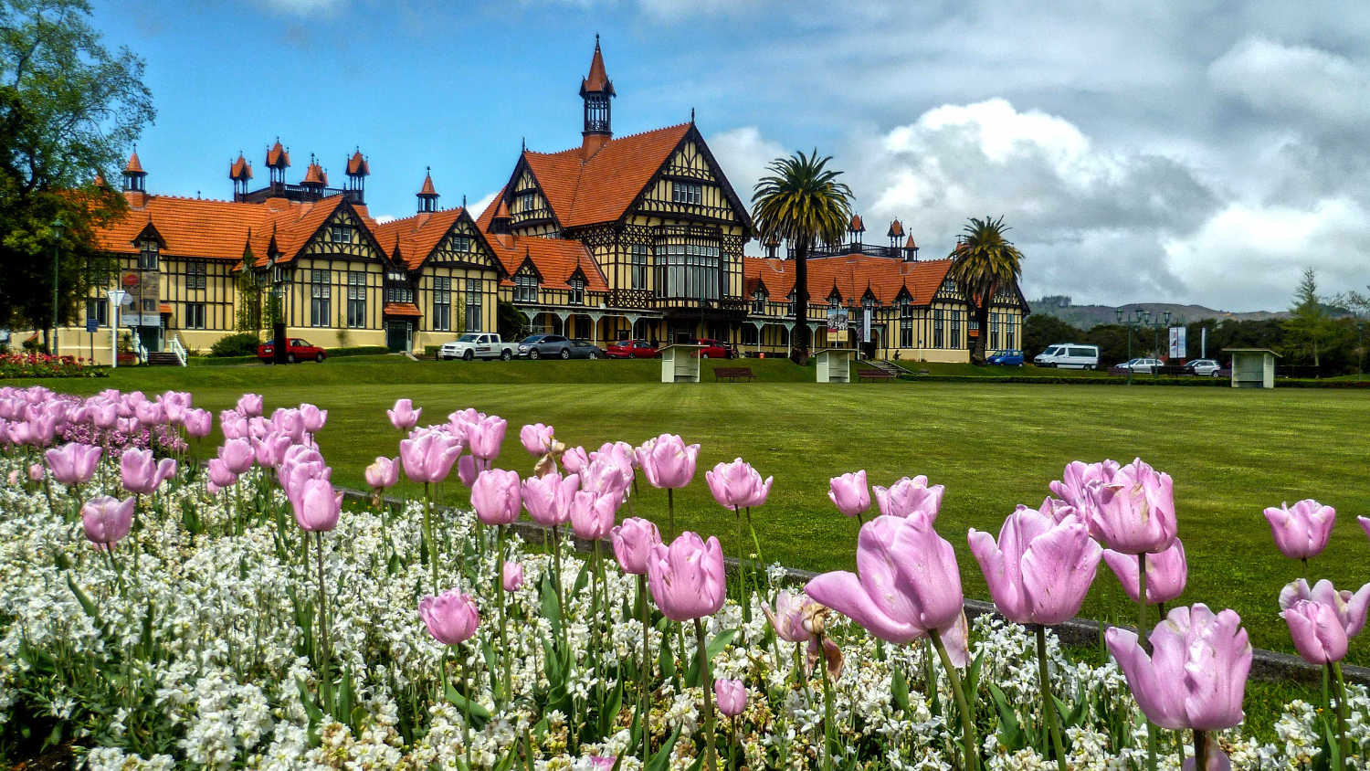 Wellington to Auckland