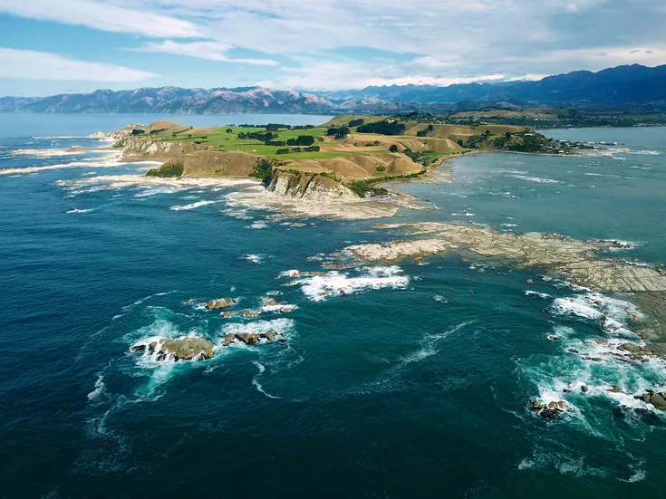 Kaikōura Day Tour with Whale Watching & One-Way Coastal Pacific Train