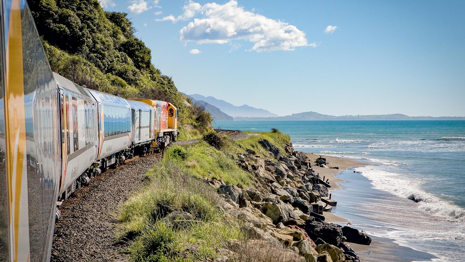 Kaikōura Day Tour with Whale Watching & One-Way Coastal Pacific Train