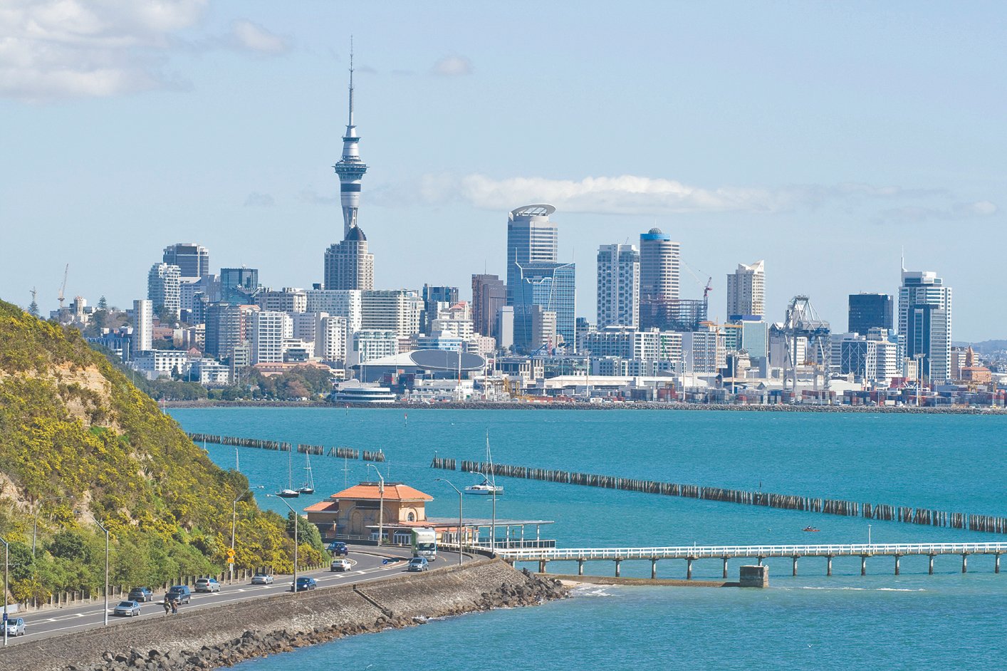 Auckland – Coast & Rainforest Walking day tour