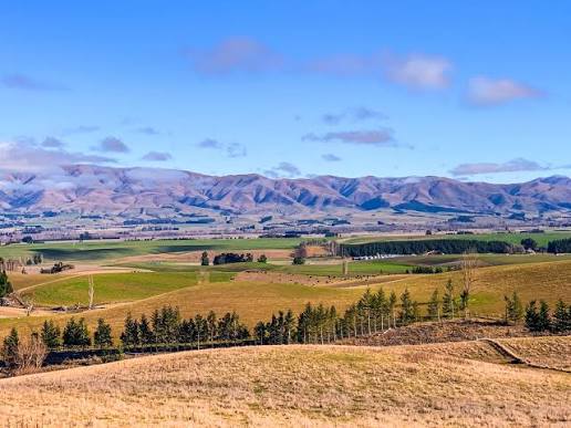 Timaru – South Canterbury Discovery Tour