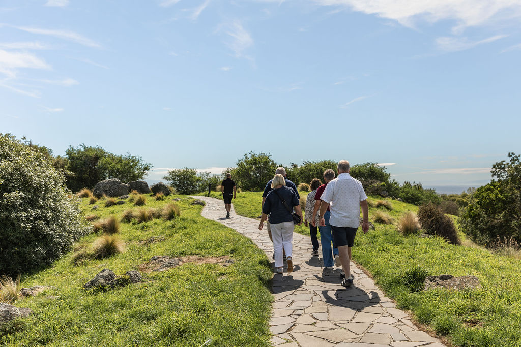 Christchurch City Sightseeing Tour – Afternoon