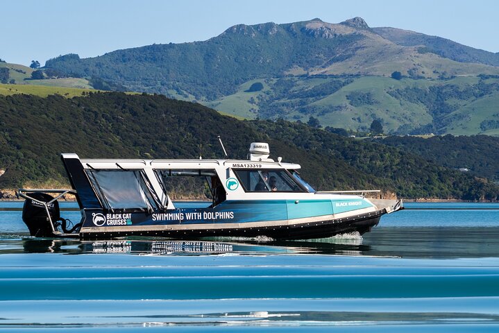 Akaroa Day Tour with Dolphin Swimming
