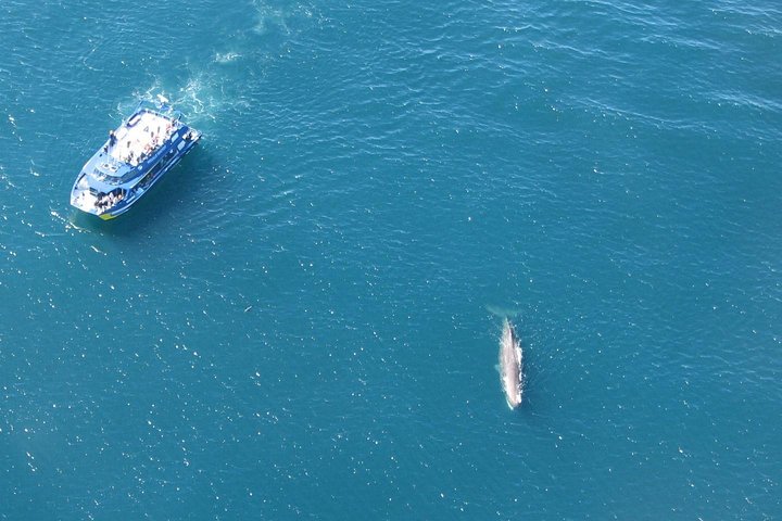 Kaikōura Day Tour – Transport Only