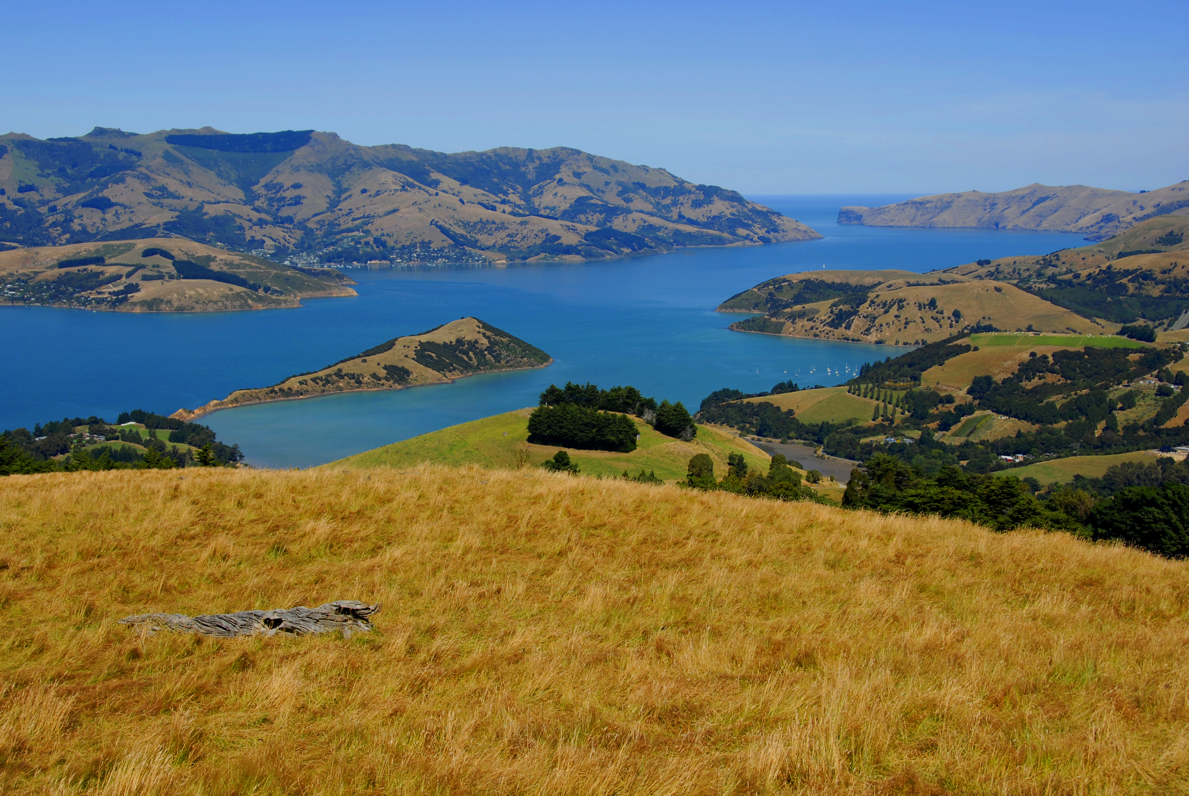 Akaroa Day Tour with Nature Cruise
