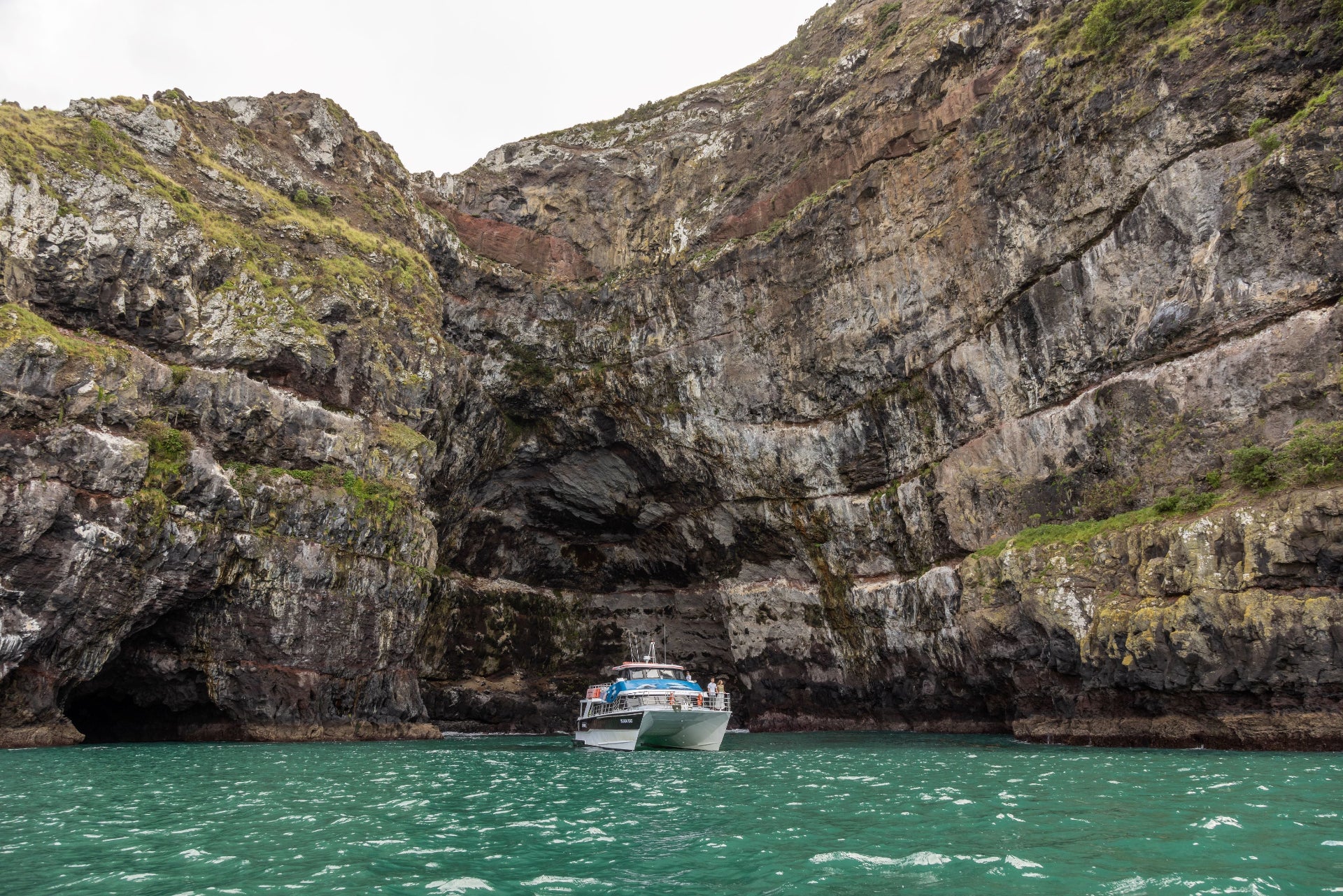 Akaroa Day Tour with Nature Cruise