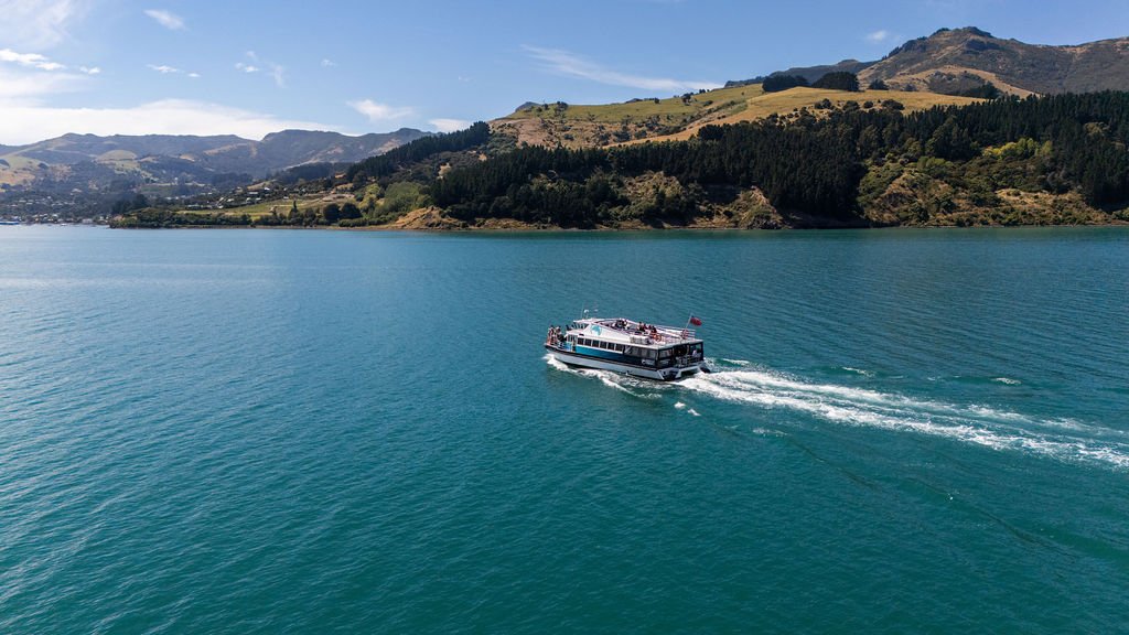 Akaroa Day Tour with Nature Cruise