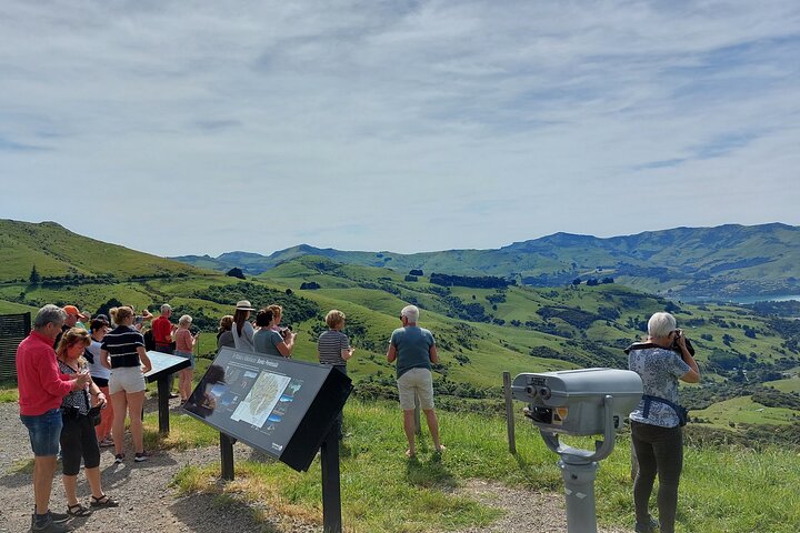 Akaroa Day Tour with Nature Cruise